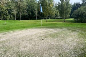 Baanonderhoud green zand